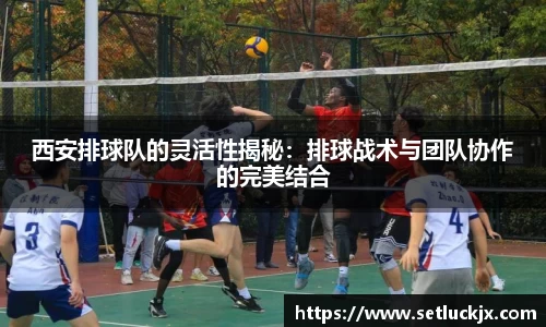 伟德bv国际