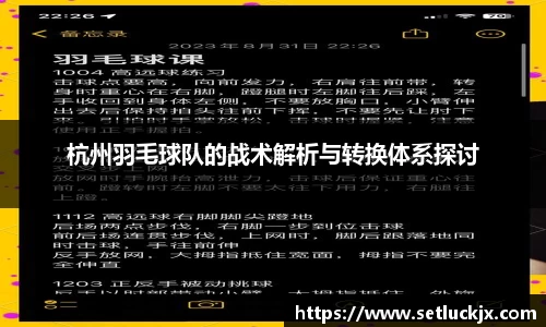 杭州羽毛球队的战术解析与转换体系探讨