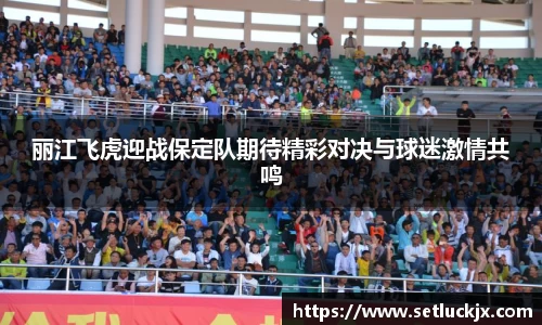 丽江飞虎迎战保定队期待精彩对决与球迷激情共鸣